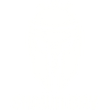 Shawn Bay LLC